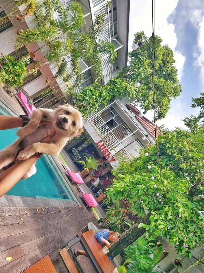Lushy Hostel Canggu المظهر الخارجي الصورة